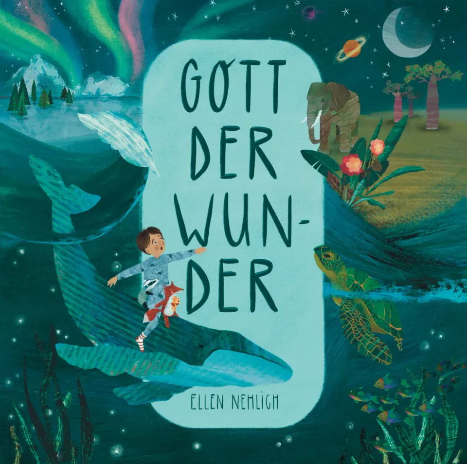 Hoffnung für alle Gott der Wunder Bilderbuch ab 5 Jahre