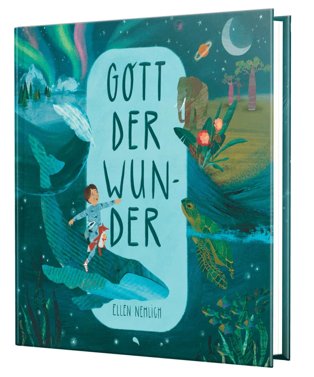 Hoffnung für alle Gott der Wunder Bilderbuch ab 5 Jahre