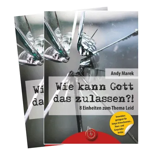Bibel im Gespräch Andy Marek Wie kann Gott das zulassen? Buch