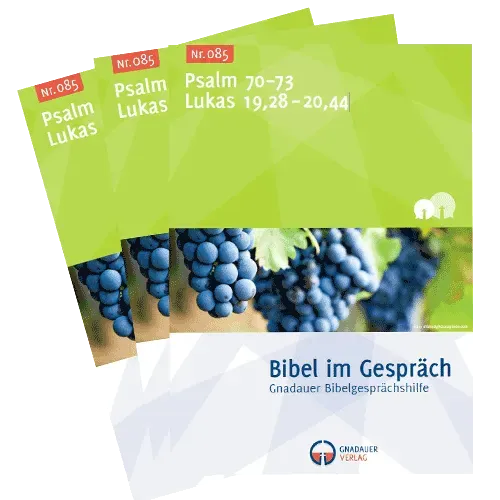 Bibel im Gespräch Nr. 085 Arbeitsheft Lukas 19+20 Psalm 70-73